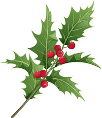 Christmas holly isolated on white background. Christmas and New Year decoration. Vector illustration of plant elements.
