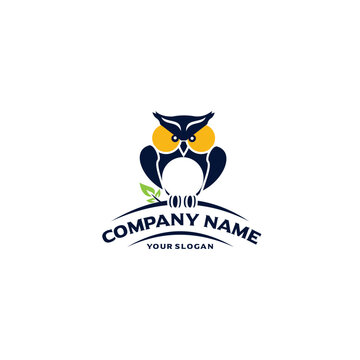 Owl logo design