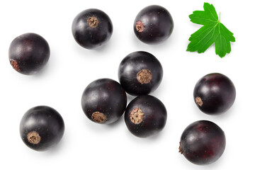 black currant with green leaf isolated on white background. clipping path. top view