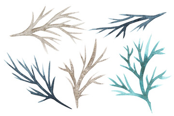 Watercolor drawing isolated trees, set isolated objects