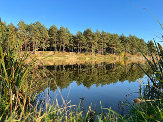 Autumn mood landscape with lake and forest in the perfect sunny weather