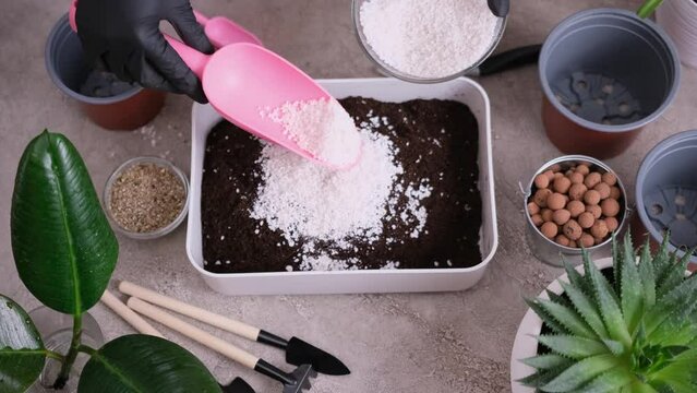 Home Gardening and plant transplantation - Woman pouring perlite into box with soil substrate box