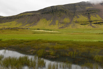 Fototapeta na wymiar Rural landscape with a lake in Iceland