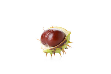 Fresh and ripe chestnut, isolated on white background