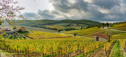 Panorama over the Chianti countryside in the foreground a vineyard Greve in Chianti Tuscany Italy