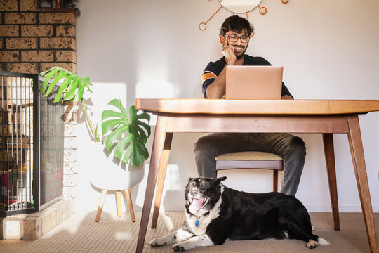 man working on computer, with dog at his feet