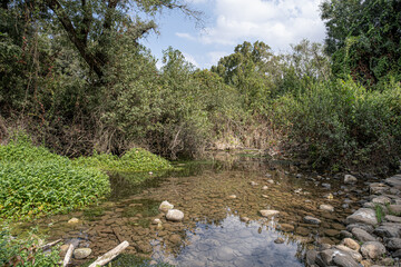 Hidden pond in Tel Dan Nature Reserve and National Park, Kibbutz Dan, Upper Galilee, Noerthern Israel, Israel