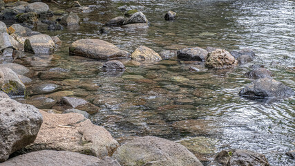 Hidden pond in Tel Dan Nature Reserve and National Park, Kibbutz Dan, Upper Galilee, Noerthern Israel, Israel