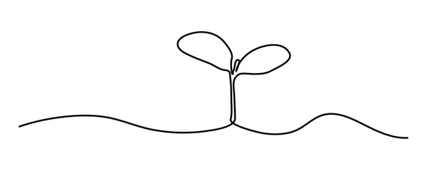 continuous line sapling growing in the garden