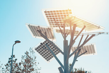 Solar electric panels mounted on a tree-shaped pole to generate alternative renewable energy...