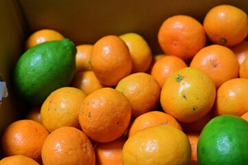 箱入りミカン
