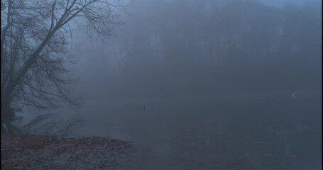 Foggy water camera pan right. Dark and creepy vibe.