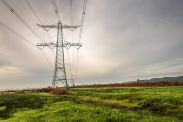 High voltage pylons in a Dutch polder landscape on a cloudy day in autumn. It is still early in the morning, the mist is disappearing and the grass is still wet with the morning dew.