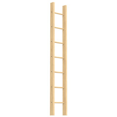 3d rendering illustration of a single straight wood ladder