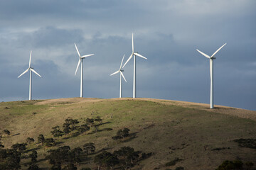 A row of wind turbines on a grassy hill in a paddock
