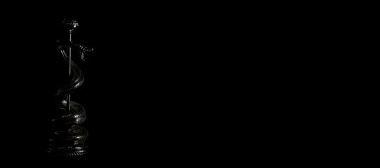 Aesculapian Staff Black Header