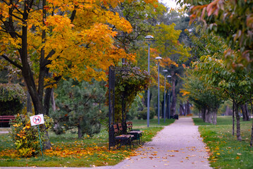 Naklejka premium Path in the park.October.