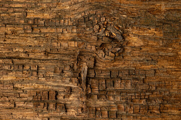 Wooden texture. Old wood background.