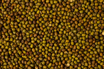 Dry mung beans close up. Legumes background.