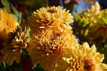 Blumenstrauß