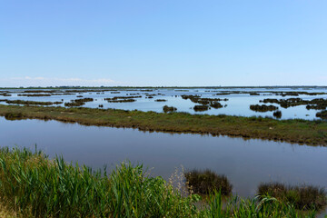 Landscape along the cycleway of Sile river in Venice province