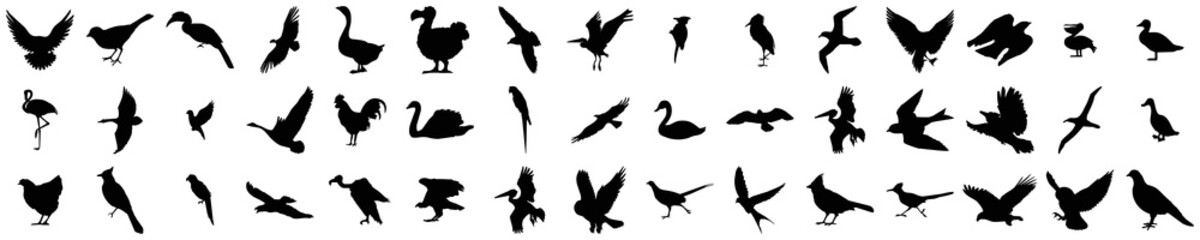 Fototapeta premium Bird black silhouettes of different kind