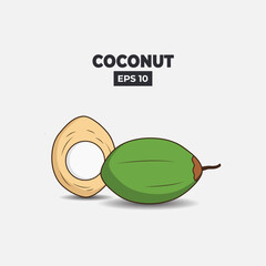 Coconut vector illustration