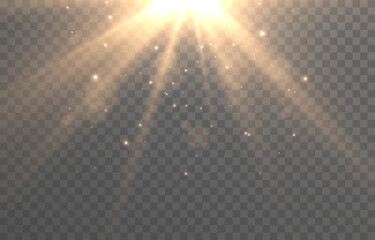 Vector magic light on isolated transparent background. Light png. Dust particles, magical glow png. Christmas light.