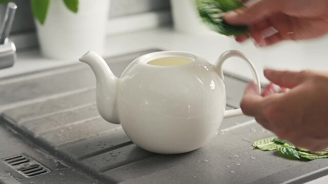 Hands of young woman in white linen shirt put fresh green peppermint lemon balm melissa spearmint leaves into white teapot in kitchen. Herbal tea preparation process, healthy vitamin drink