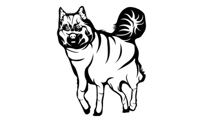 Fototapeta na wymiar Alaskan Malamute Dog, High detailed a White background, Vector illustration, Hand drawn style print