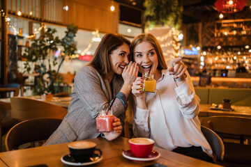 Two best friends sitting in coffee bar or restaurant after shopping and happily talking together.