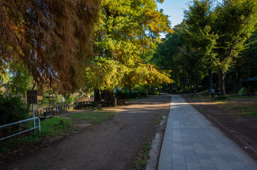 Obraz premium 東京都・練馬区の石神井公園