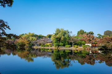 Fototapeta premium 東京都・練馬区の石神井公園