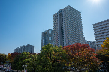 光が丘公園のマンション郡・タワマン