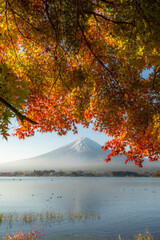 富士山と紅葉のはじまり（河口湖_縦）