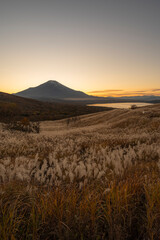 富士山と山中湖とすすきの群生（山中湖_縦）