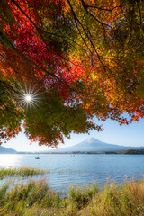 富士山と紅葉のはじまり（河口湖_縦）
