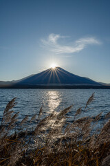 ダイヤモンド富士とすすき（山中湖_縦）