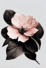 black and white flower