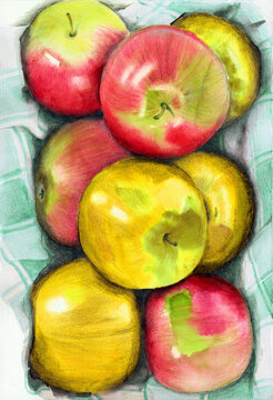 Watercolor pencil illustration of some red and yellow juicy apples on a green checkered cloth