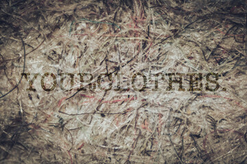 Plastic polution: Your Clothes Under the Microscope