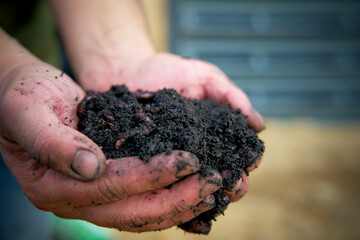 handful of black peat free soil