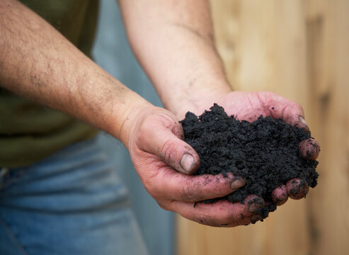 Hands Holding Peat Free Substrate