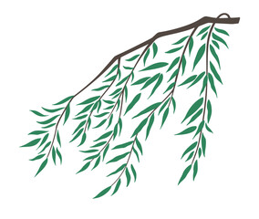 Weeping willow branch and leaves vector illustration isolated on white background. Chinoiserie design element. Wilow branch swaying in the wind. Nature illustration asian Chinese Japanese style. © Cute Design