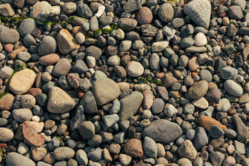 Abstract background of pebble rocks on West Point Lighthouse Beach in Discovery Park, Seattle, Washington, USA