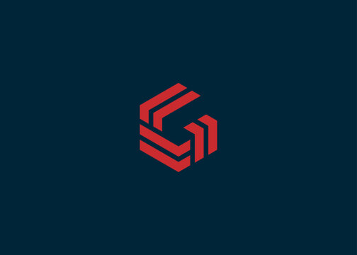 letter g hexagon logo design vector illustration template