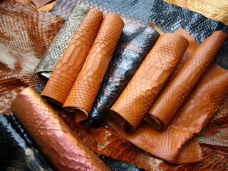 Red exotic python skin, snakes for the production of bags, clothes, haberdashery. Texture of...