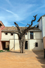 Dead tree at the Alhambra in Granada