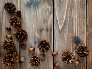 Pine cones and acorns on wooden background, top view, corner arrangement. 