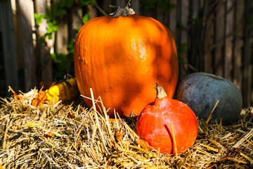 Autumn decoration with pumpkin and straw bales